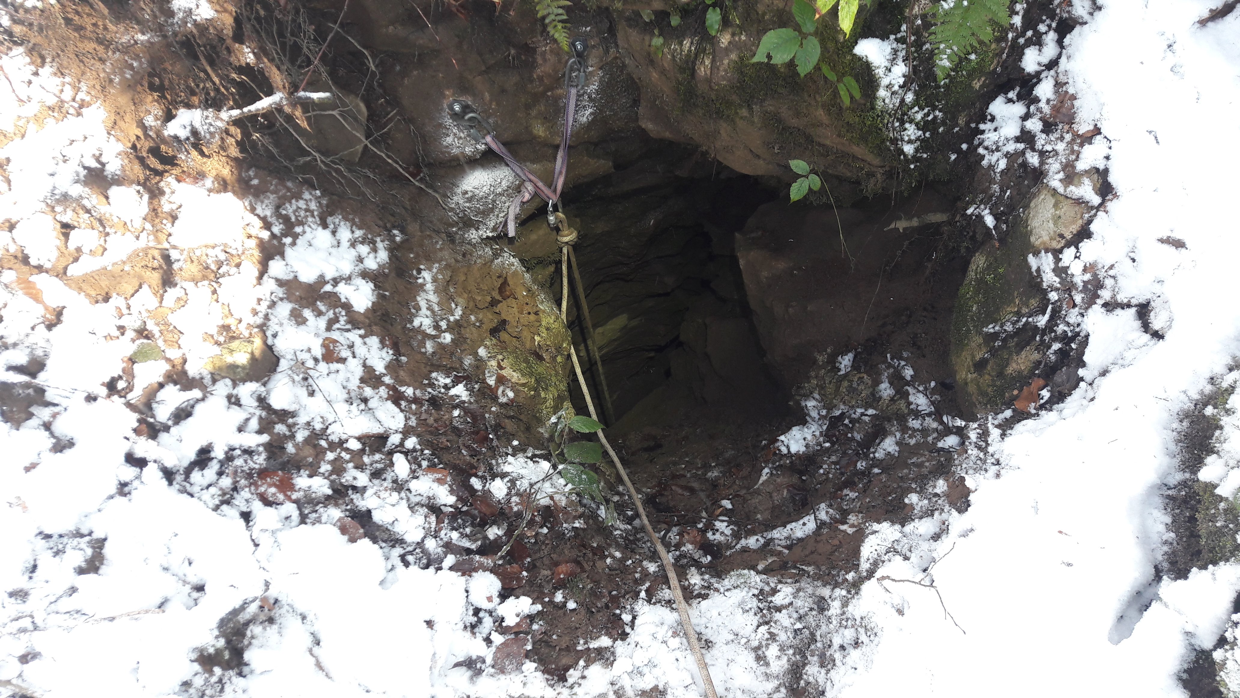 Avenul din Padina Goală - Image 1